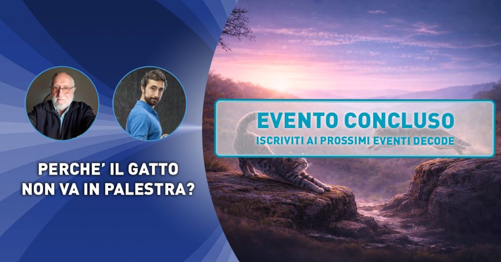 Eventi DECODE